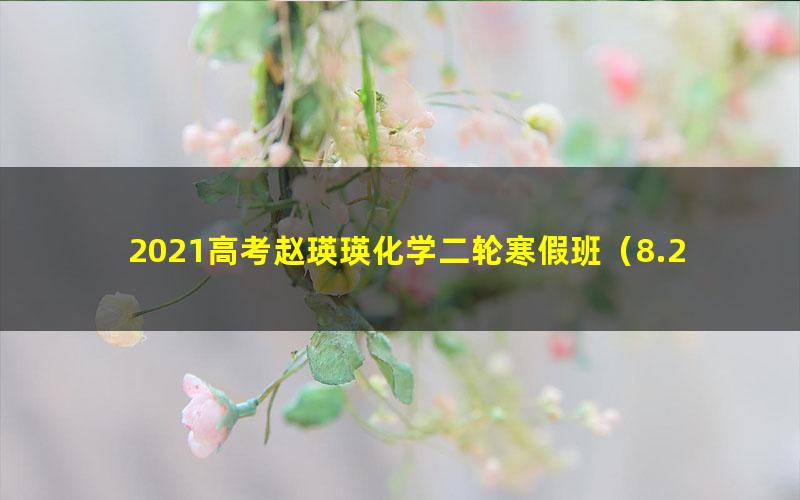 2021高考赵瑛瑛化学二轮寒假班(8.27G高清视频)