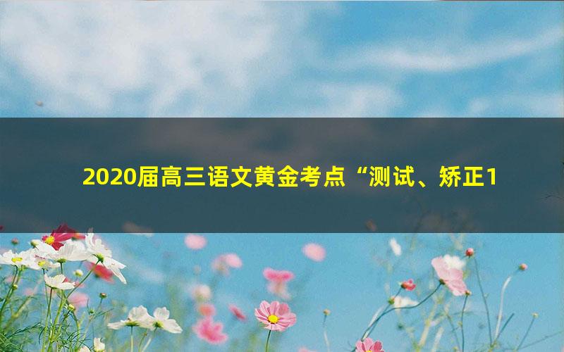 2020届高三语文黄金考点“测试、矫正1+1”押题卷