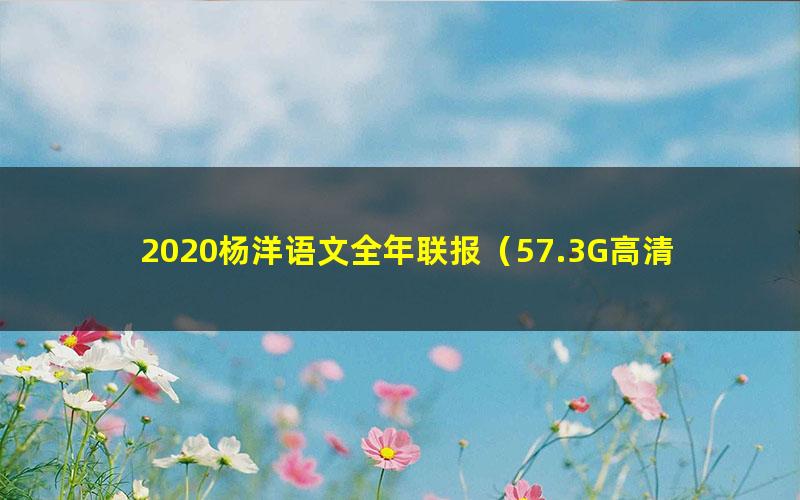 2020杨洋语文全年联报(57.3G高清视频有水印)