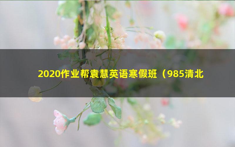 2020作业帮袁慧英语寒假班(985清北班)(高清视频)