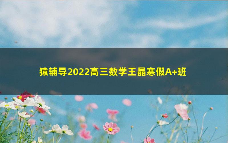 猿辅导2022高三数学王晶寒假A+班