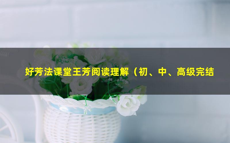 好芳法课堂王芳阅读理解(初、中、高级完结)(高清视频)