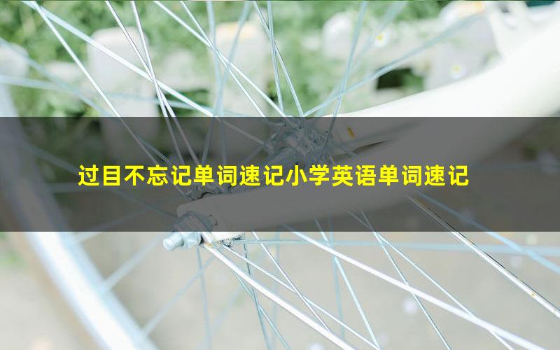 过目不忘记单词速记小学英语单词速记