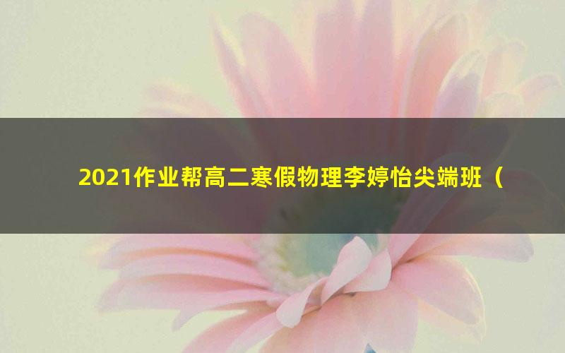 2021作业帮高二寒假物理李婷怡尖端班(5.86G高清视频)