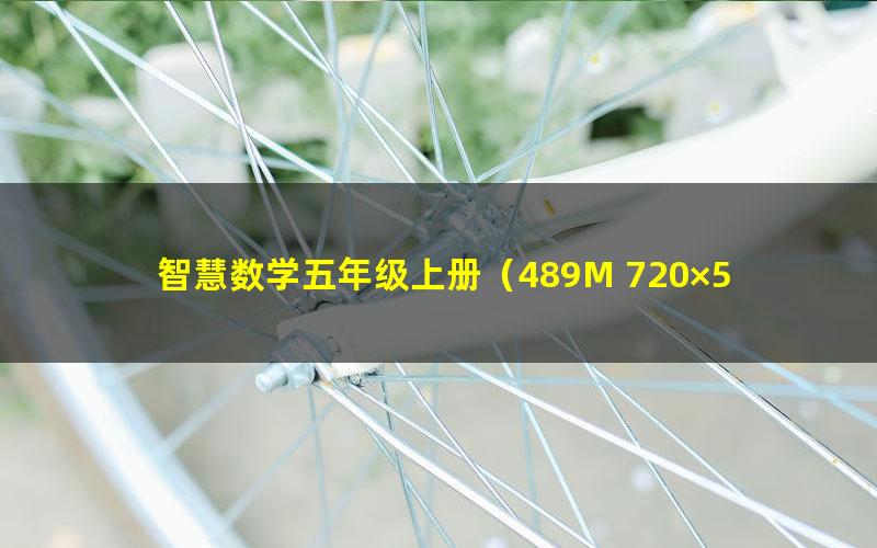 智慧数学五年级上册(489M 720×526视频)