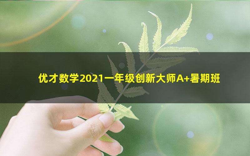 优才数学2021一年级创新大师A+暑期班(完结)(7.34G高清视频)