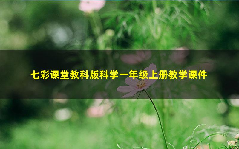 七彩课堂教科版科学一年级上册教学课件