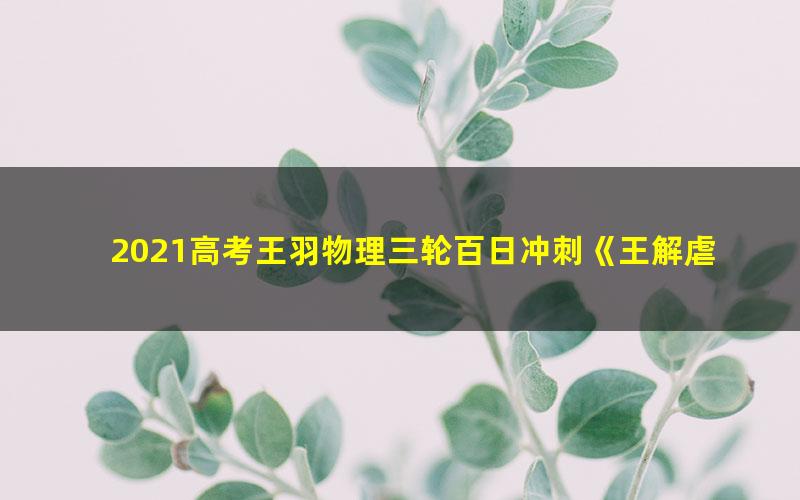 2021高考王羽物理三轮百日冲刺《王解虐套卷》21套卷最新模拟实战(15套未完结)(14.2G高清视频)