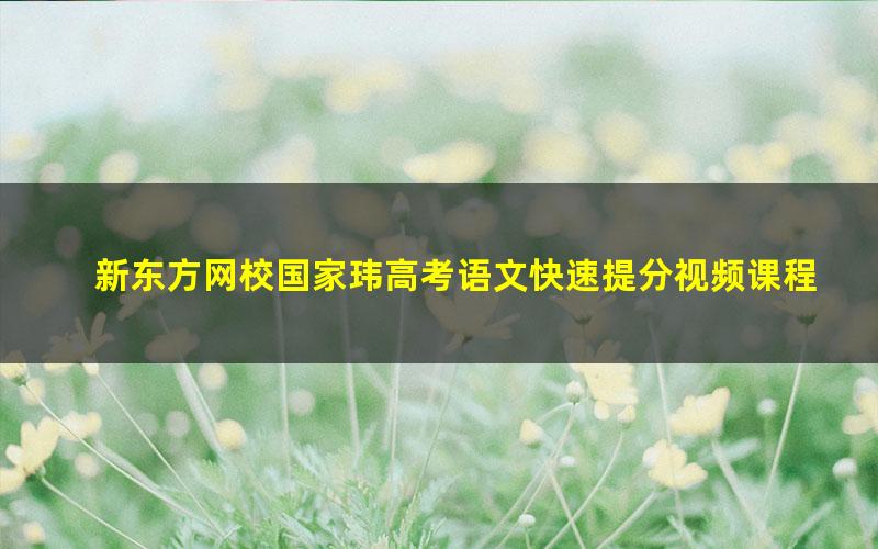 新东方网校国家玮高考语文快速提分视频课程汇总(高清打包)