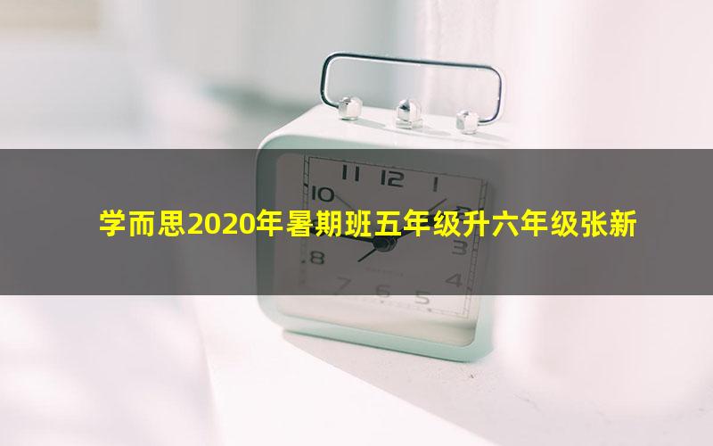 学而思2020年暑期班五年级升六年级张新刚数学目标A+班(高清视频)