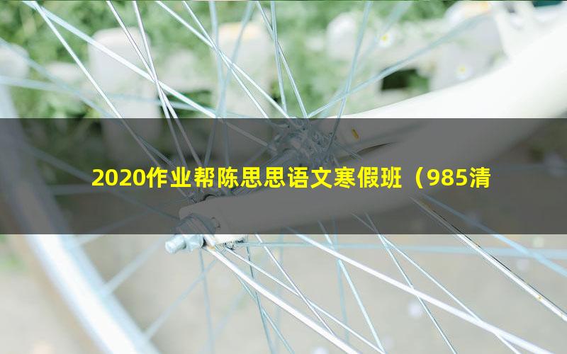 2020作业帮陈思思语文寒假班(985清北班)(高清视频)