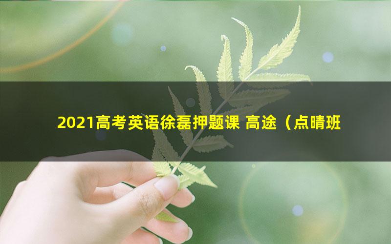 2021高考英语徐磊押题课 高途(点晴班)(高清视频)