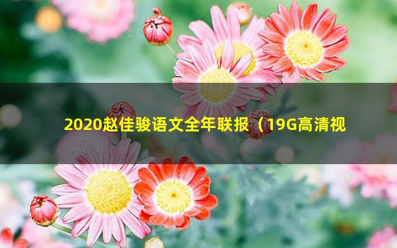 2020赵佳骏语文全年联报(19G高清视频有水印)