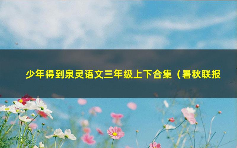 少年得到泉灵语文三年级上下合集(暑秋联报)(26G高清视频)