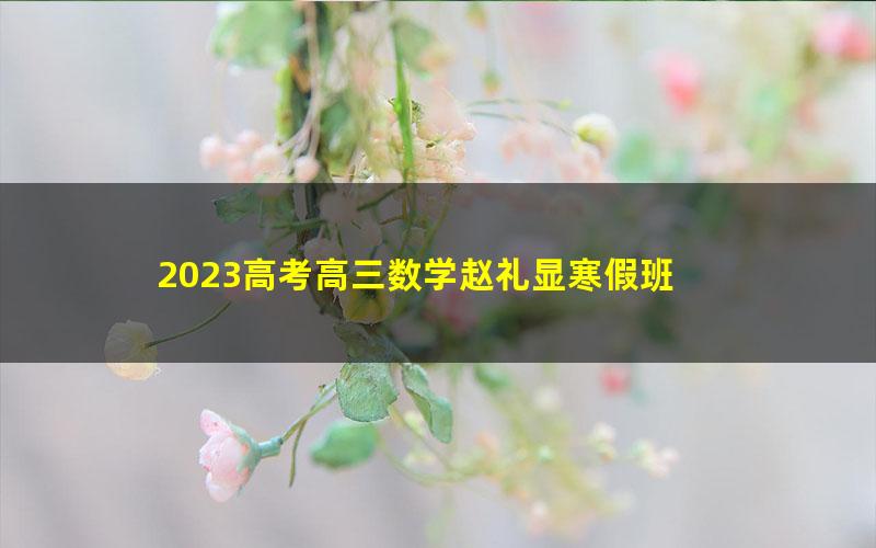 2023高考高三数学赵礼显寒假班