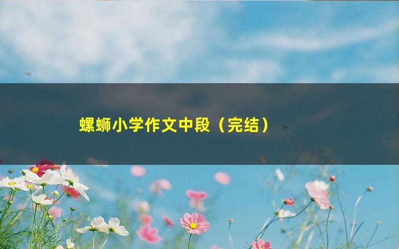 螺蛳小学作文中段(完结)