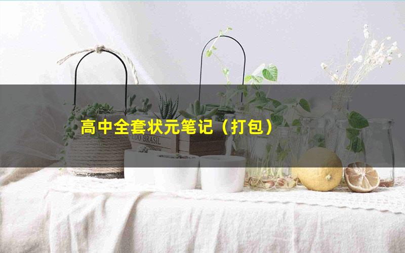 高中全套状元笔记(打包)