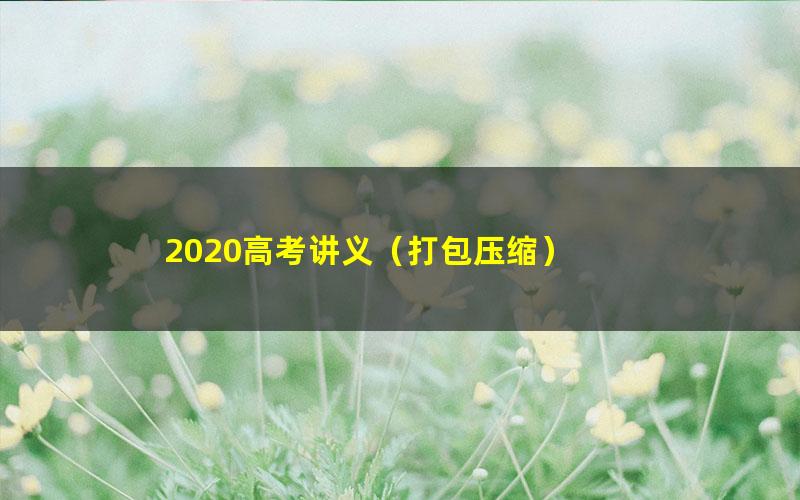 2020高考讲义(打包压缩)
