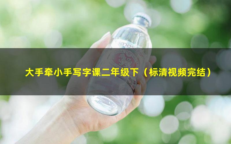 大手牵小手写字课二年级下(标清视频完结)