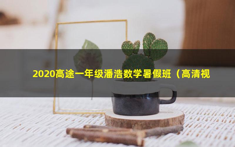 2020高途一年级潘浩数学暑假班(高清视频)