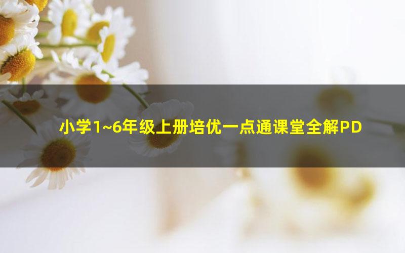 小学1~6年级上册培优一点通课堂全解PDF