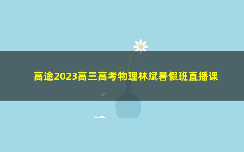 高途2023高三高考物理林斌暑假班直播课(规划服务)