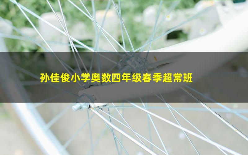 孙佳俊小学奥数四年级春季超常班