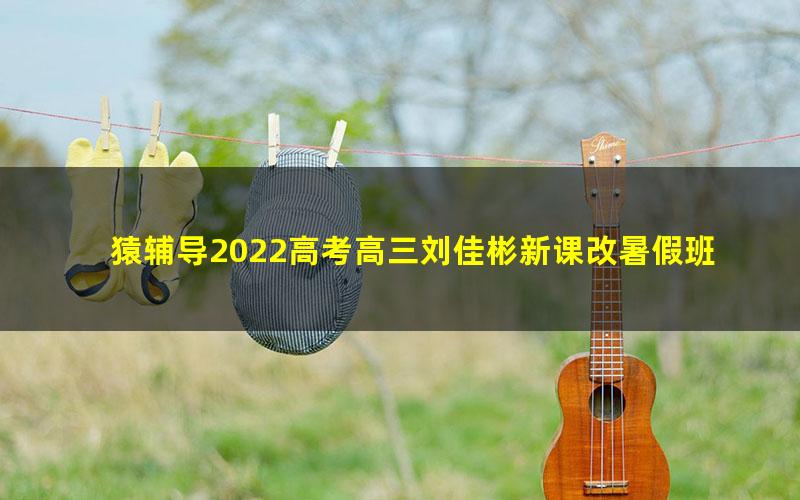 猿辅导2022高考高三刘佳彬新课改暑假班(完结)(18.8G高清视频)