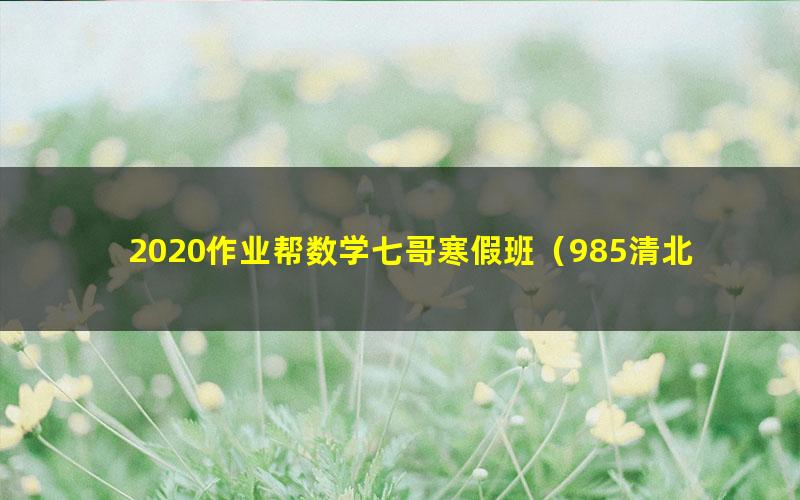 2020作业帮数学七哥寒假班(985清北班)(高清视频)
