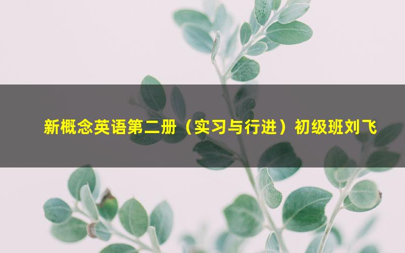 新概念英语第二册(实习与行进)初级班刘飞飞 下载