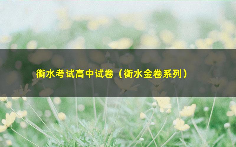 衡水考试高中试卷(衡水金卷系列)
