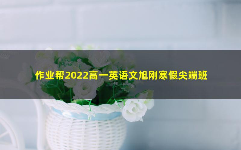 作业帮2022高一英语文旭刚寒假尖端班