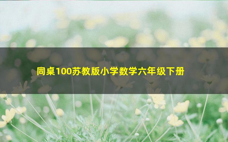 同桌100苏教版小学数学六年级下册