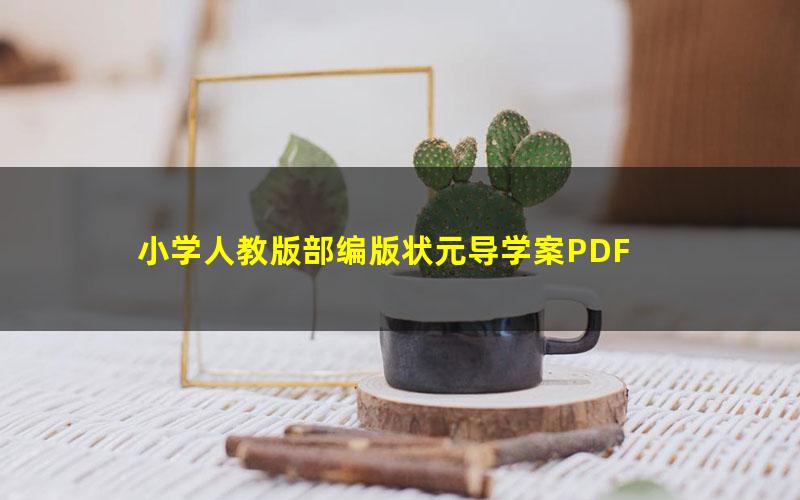 小学人教版部编版状元导学案PDF