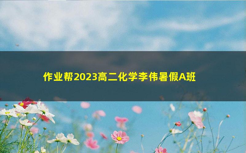作业帮2023高二化学李伟暑假A班