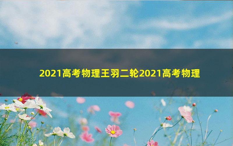 2021高考物理王羽二轮2021高考物理压轴题难题班直播课(3.59G高清视频)
