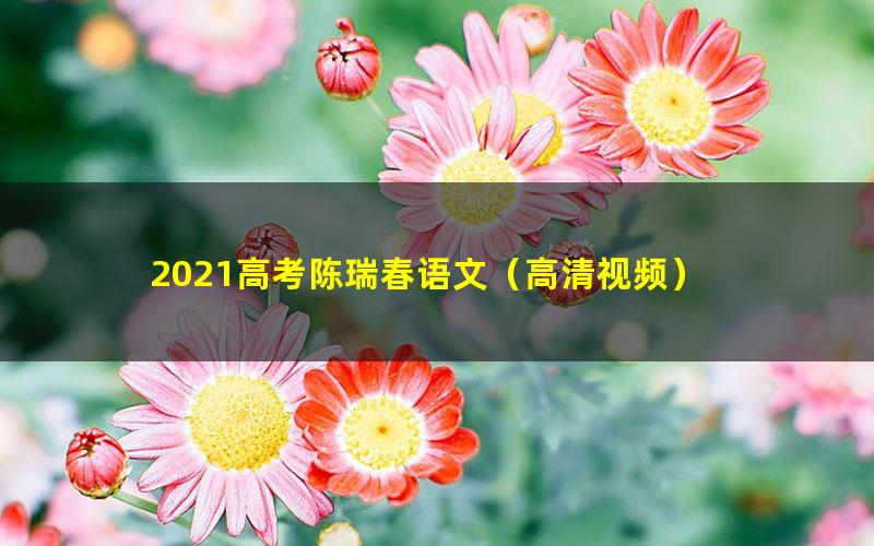 2021高考陈瑞春语文(高清视频)