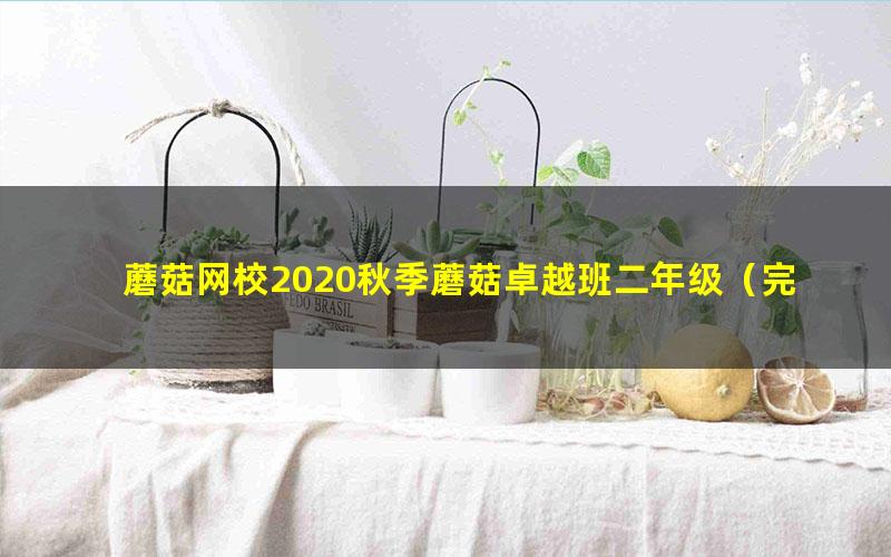 蘑菇网校2020秋季蘑菇卓越班二年级(完结)(10.6G高清视频)