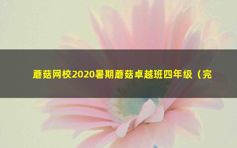 蘑菇网校2020暑期蘑菇卓越班四年级(完结)(3.17G高清视频)