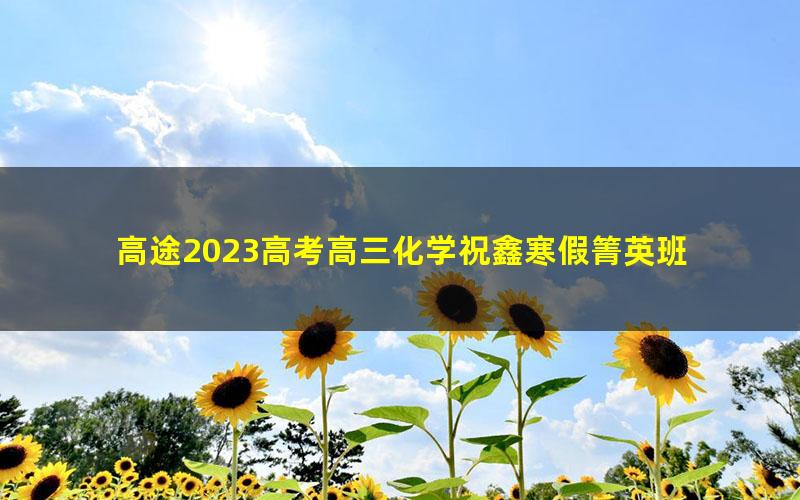高途2023高考高三化学祝鑫寒假箐英班
