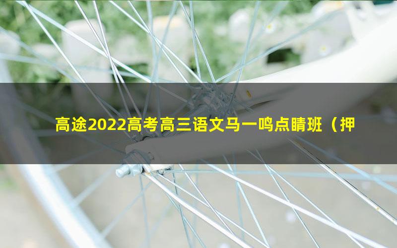 高途2022高考高三语文马一鸣点睛班(押题课)