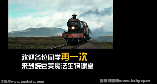 有道2022高三生物陈旭晨秋季班