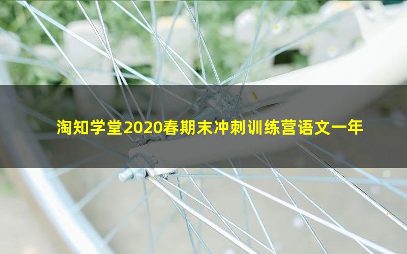淘知学堂2020春期末冲刺训练营语文一年级(下)(960×540视频)