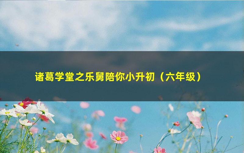 诸葛学堂之乐舅陪你小升初(六年级)