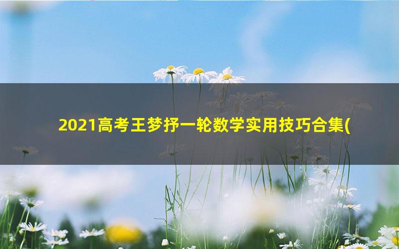 2021高考王梦抒一轮数学实用技巧合集(网红技巧前生今世30讲)(5.45G超清视频)