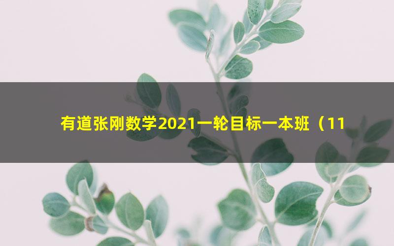 有道张刚数学2021一轮目标一本班(11.0G高清视频)