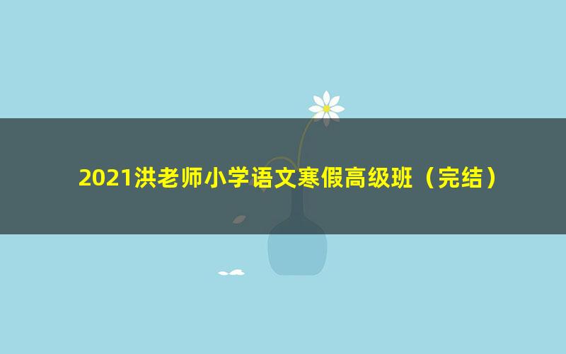 2021洪老师小学语文寒假高级班(完结)(9.13G高清视频)