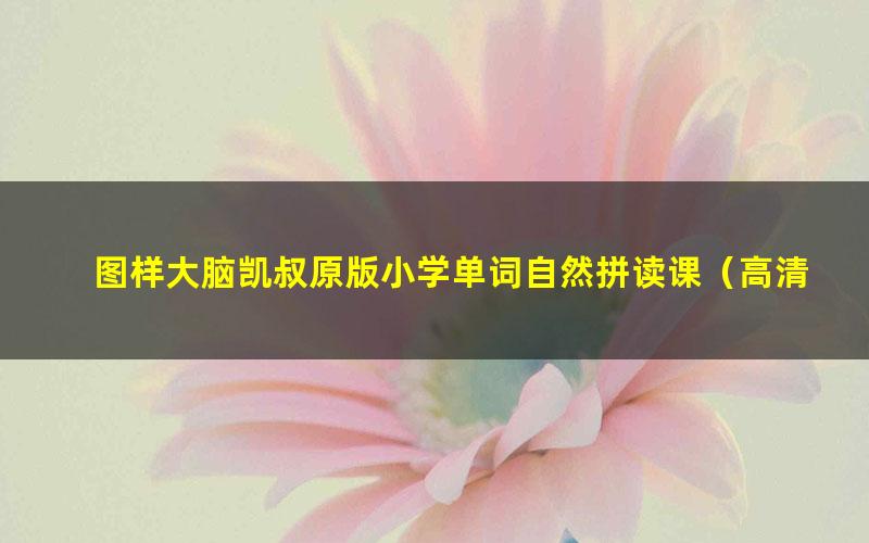图样大脑凯叔原版小学单词自然拼读课(高清视频)