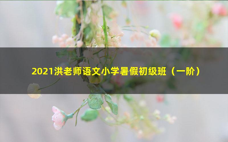 2021洪老师语文小学暑假初级班(一阶)(完结)