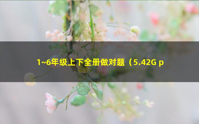 1~6年级上下全册做对题(5.42G pdf文档)